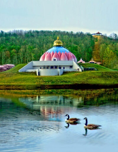 LOTUS-satchidananda-ashram-yogaville-virginia