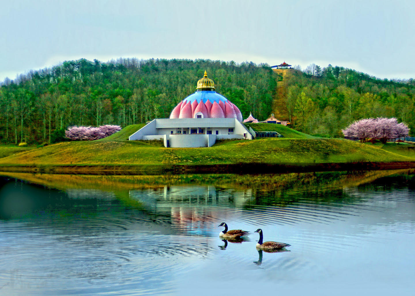 LOTUS-satchidananda-ashram-yogaville-virginia LOTUS-satchidananda-ashram-yogaville-virginia