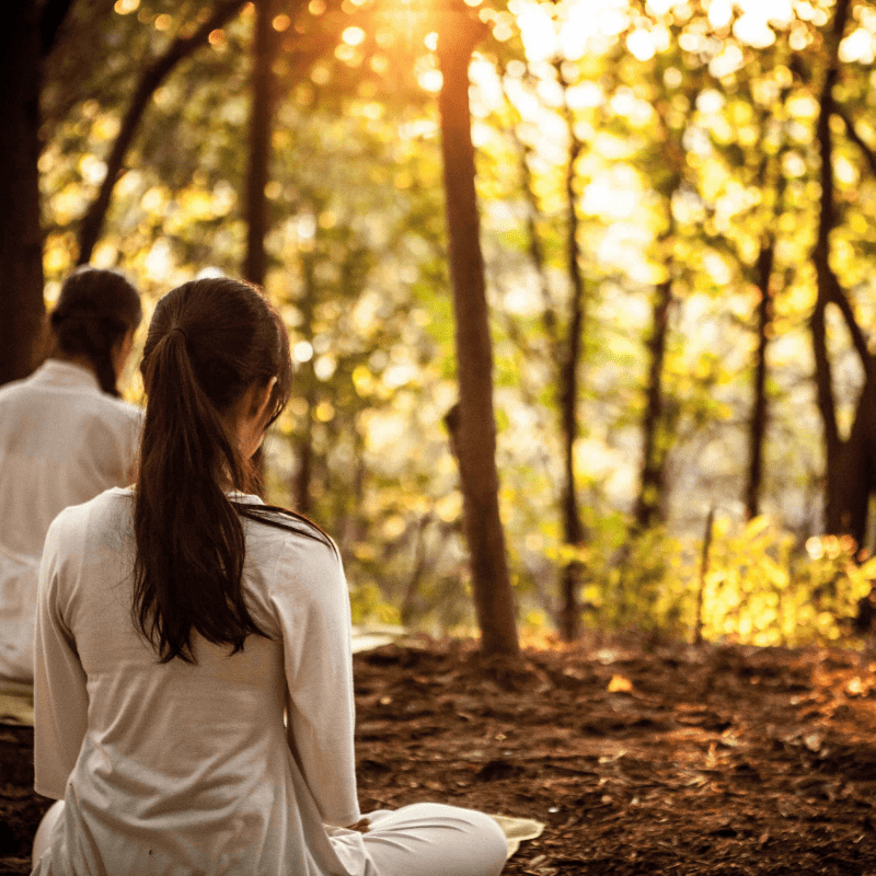 Meditation draußen Meditation | Sarah Saraswati Müllejans | Achtsamerleben