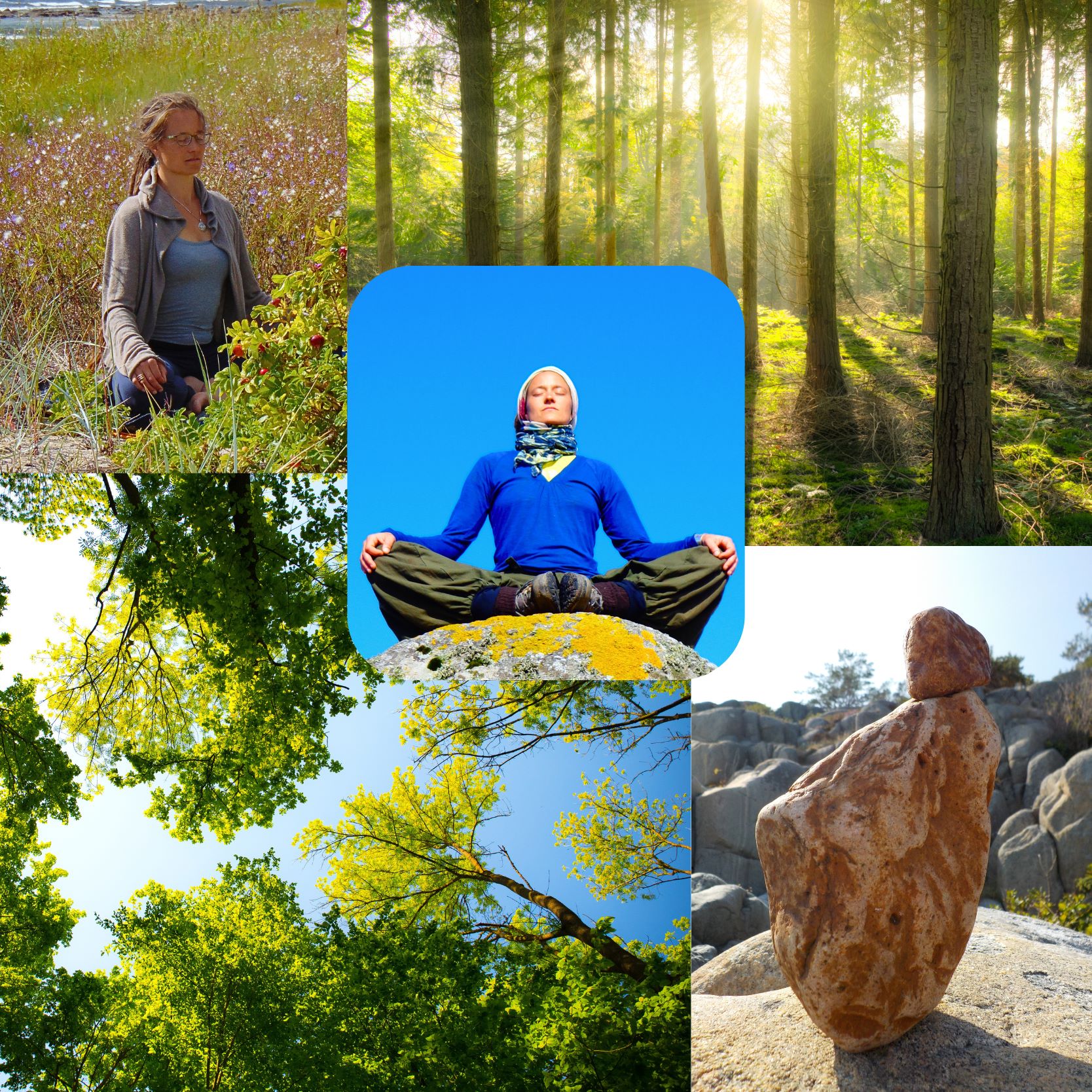 Waldbaden und Meditation in der Natur Waldbaden | Meditation | Achtsamkeit | Entschleunigung | Achtsamerleben